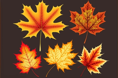 autumn maple leaves, orange fall leaf, thanksgiving or halloween design elements in orange red and yellow autumn colors, seasonal clip art or png design elements for border or background illustrations