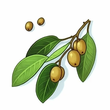 Isometric Sticker Clip Art of Lindentree Fruit, children friendly, illustrated in a playful and realistic style, perfect for any special occasion, cut out in the shape of a single very long Leaf with small balls, with no visible background, giving it the appearance of a sticker, conveying a mystical and whimsical mood, edited with Adobe Photoshop to adjust brightness and contrast, rendered as a transparent PNG file with a high resolution to ensure a crisp and clear image with no pixelation, suit