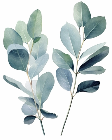 Eucalyptus leaves Watercolor Cliparts Illustrations isolated on white background “Photorealism” taken with macro lens 100 mm on a full-frame camera