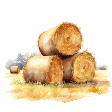 realistic watercolor drawing of a bales of hay on a field, on a white background where the background will be removed to repurpose as a clipart.