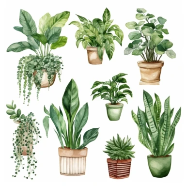 Watercolor House Plants Clipart. Indoor Plants Elements. Monstera, Cactus Illustration. Boho Home Decor Clipart. Home green garden. Plants in pots