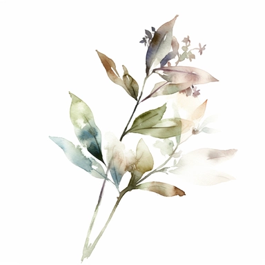 watercolor, a piece of botanical item clipart, faded barely visible color