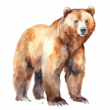 Brown Bear Watercolor isolated on white background, Watercolor Clipart painting, high quality, HD, children's book illustrations, realistic lifelike figures, white background
