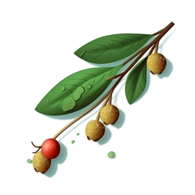 Isometric Sticker Clip Art of Lindentree Fruit, children friendly, illustrated in a playful and realistic style, perfect for any special occasion, cut out in the shape of a single very long Leaf with small balls, with no visible background, giving it the appearance of a sticker, conveying a mystical and whimsical mood, edited with Adobe Photoshop to adjust brightness and contrast, rendered as a transparent PNG file with a high resolution to ensure a crisp and clear image with no pixelation, suit