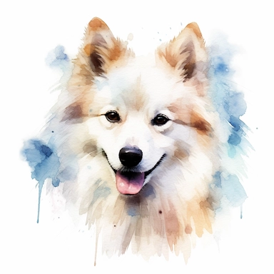American Eskimo Dog dog, water color style, clipart, white background