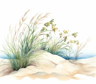 watercolor of the beach and dune clipart, in the style of nature-inspired imagery, hand-drawn animation, uhd image, bec winnel, lush and detailed, layered composition, jacek malczewski, white background