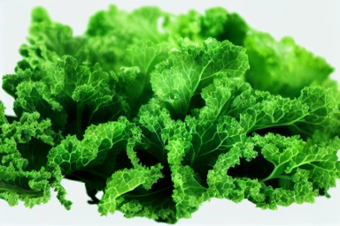 Chinese Kale Illustration PNG Clipart .highly detailed, realistic, photo realistic, octane render, 4K, 8K, UHD, hyper detailed