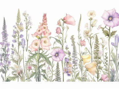 Clip art set.Graceful Whispers: Foxgloves, Bellflowers, and Evening Primroses. Soft, Gentle, color pallete. perfect for adding a whimsical and romantic touch to invitations, stationery, and more, vector, contour, white background, clipart set, spaced out