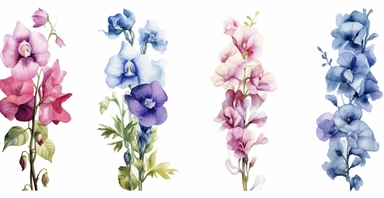 Watercolor realistic Hollyhock, iris, morning glory orchid and peony floral cliparts with white background