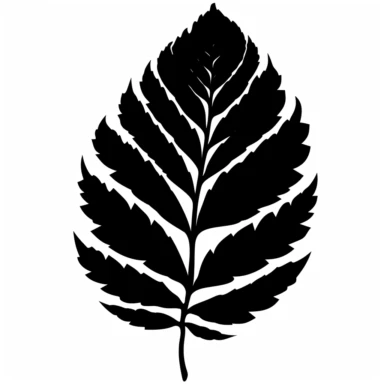 black silhouette leaf clipart