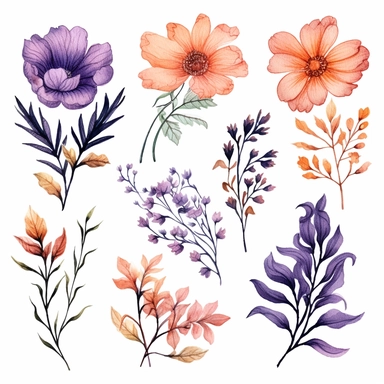 atercolor, handpainted floral clipart, transparent background, 6 elements evenly spaced out by 1 inches