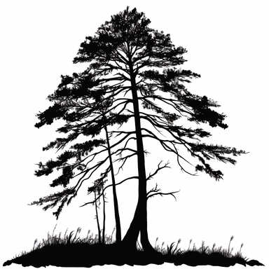 silhouette of tall pine tree clip art style black on white background swaying