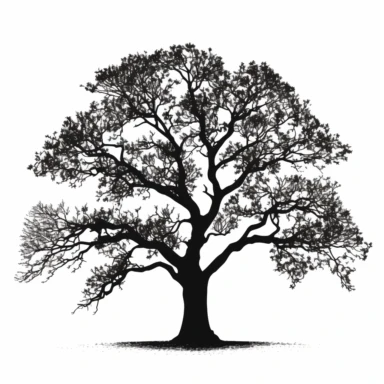 clipart minimalist oak tree black and white