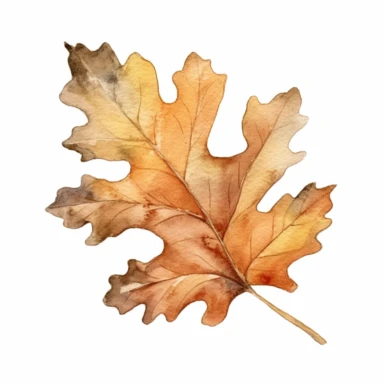 watercolor white oak fall leaf clipart, white background