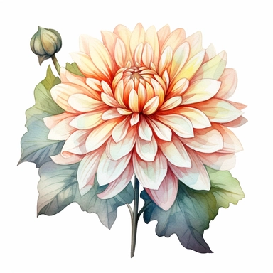 Watercolor snow white dahlia clipart on a white background in the style of feminine sticker art, Tanya Shatseva, storybook illustration, pure and pristine shades, Georgia O'Keeffe, flower and nature motifs, colored line art, colored outlines, cottagecore design, watercolor on white background, ombre, warm tones, colored line art, colored outlines, iridescent ombre, gradient shading, winter snow tone, vibrant digital art oil paint photorealism, an illustration of a colored flower, meticulous sket