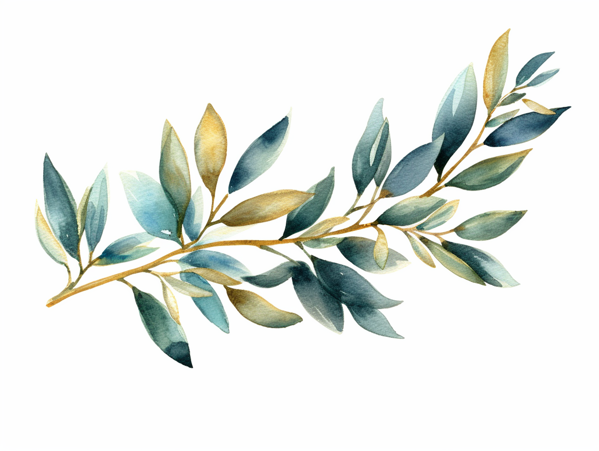 olive branch clipart