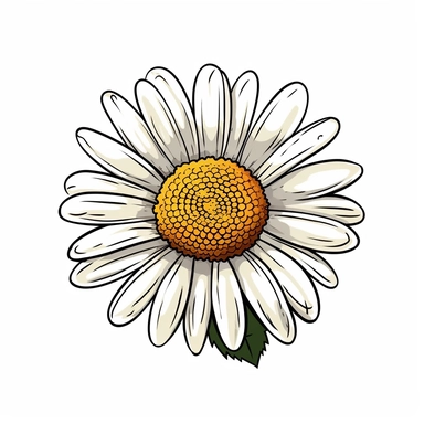 Clipart of cartoon daisie top of the flower, view from above, in a minimalist style, on a white background,