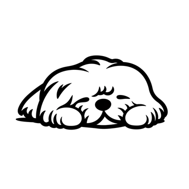 simple monochrome outline of a sleeping Maltese dog, cute, clipart