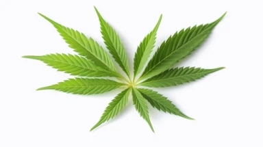 marijuana leaf, clipart, on white background 8k, UHD,