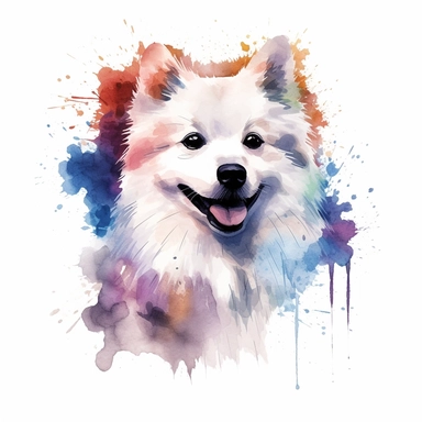 American Eskimo Dog dog, water color style, clipart, white background