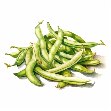 green beans ,watercolor sketch, clipart, white background