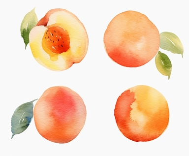 watercolor four Apricot fruits clipart, flat style, no volume, few details, washed out, minimalistic style, very lose details, very light colors, transparent colors, light airy hues and pastel tones, spaced out, white background, washed out colors and paint, hand-painted watercolor, watercolor spray, watercolor splash, splatters and paint smudges on top of each Apricot, watercolor paper with visible rough paper texture, a variety of watercolor brushes, do not cross workspace borders, rough water