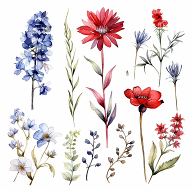 Clipart, beautiful field flowers isolated in blue and red , watercolor paints, isolated objects on white background, digitally rich, beautiful combination, high quality, 8K – q 2 – s 750
