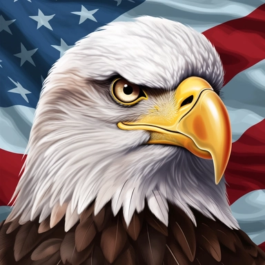 bald eagle in front of the american flag, clip art