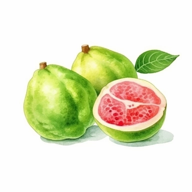 on white background cute and vibrant clipart featuring guava in watercolor style, hyper realistic photo flat color