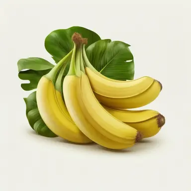 Clipart A bunch of bananas, white background