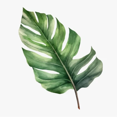 watercolor realistic jungle leaves single design clipart white background, 8k