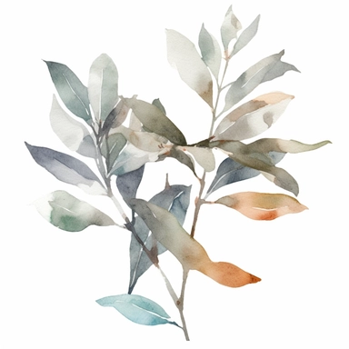 watercolor, a piece of botanical item clipart, faded barely visible color