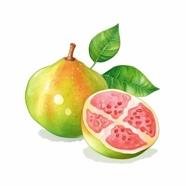 on white background cute and vibrant clipart featuring guava in watercolor style, hyper realistic photo flat color