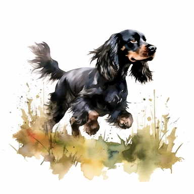 Watercolor Cocker Spaniel dog black and white, clipart , walking over the gras or swimming, watercolour, wood clipart, summer, farmhouse
