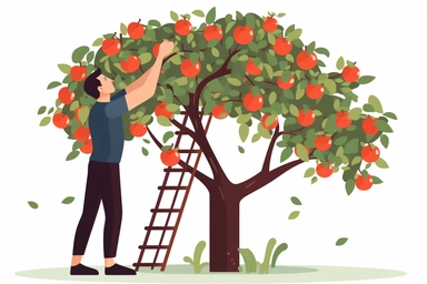 picking an apple out of a tree, clipart, vector hd, on white background