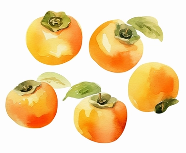 watercolor four Persimmon fruits clipart, flat style, no volume, few details, washed out, minimalistic style, very lose details, very light colors, transparent colors, light airy hues and pastel tones, spaced out, white background, washed out colors and paint, hand-painted watercolor, watercolor spray, watercolor splash, splatters and paint smudges on top of each Persimmon, watercolor paper with visible rough paper texture, a variety of watercolor brushes, do not cross workspace borders, rough w