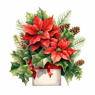 Poinsettia (Euphorbia pulcherrima) gift box with Evergreen foliage, Berries and pine cones. Holly (Ilex spp.), watercolor hand painting by Hayao Miyazaki ultra detail, 8k megapixel a careful touch white background for clipart