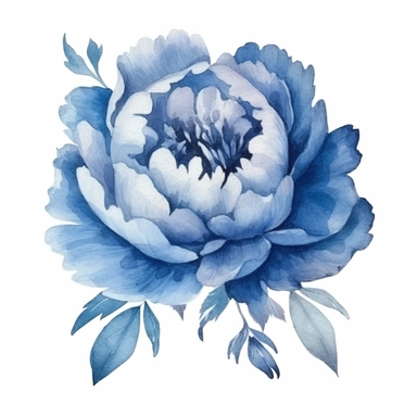 Blue Peonies png, watercolour peony clipart, peony illustration, floral clipart, watercolour flower clipart, watercolour png