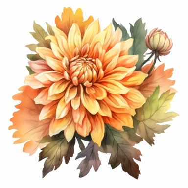 autumn flower illustration clipart, watercolor style, realistic and highly detailed, on white background, HQ, HD