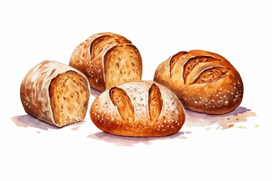 watercolor Sourdough bread clipart, hd, white background, spaced out