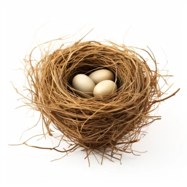 high def photograph clipart vector image with plain white background of a hyper realistic high definition 4k photograph of a bird nest. extremely detailed.