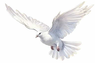 Clip art of flying dove, white, White margins around the image, drawn by Helen Beatrix Potter, easy to crop image, white background