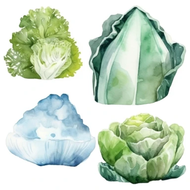 hand painted watercolor realistic iceberg and cale vegetables clipart