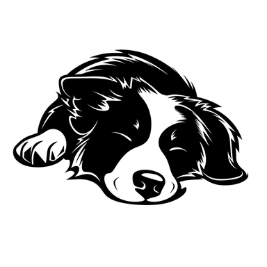 simple monochrome outline of a sleeping Border Collie dog, cute, clipart