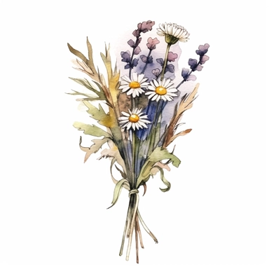 wild flowers with long stems tied together with string to make a bouquet, realistic, watercolor, light colors, clipart, minimalist