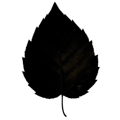 black silhouette leaf clipart