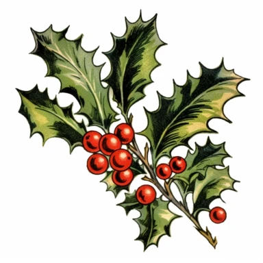 clipart with white background, holly branches, clearly defined separate image, high quality--ar3:4-no mockups, watermarks, numbers, writing, letters--q2--v5.1--s1000