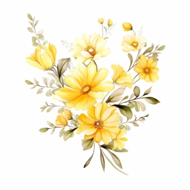 watercolor Sunshine Yellow floral line for decoration, style of Pierre-joseph redoute, png, clipart, hd, contour white outline, isolated on white background