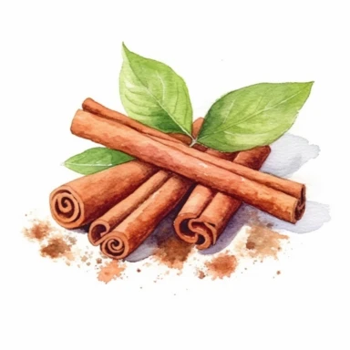 Watercolor realistic cinnamon isolated oil painting clipart white background