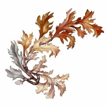 Design a dreamy watercolor clipart of a chinese-inspired Branches of oak leaves in shades of brown, copper, and gold arranged in a cascading and dynamic style composition, hand-painted with soft and graceful brushstrokes. Draw inspiration from the artistic finesse of Ethereal Petals Watercolors for a refined and ethereal depiction. isolated on a white background, hand-drawn illustration, hand-painted watercolor texture, 16k UHD resolution, intricately detailed, sharp focal points, designed by An